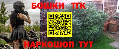 индика Камышлов