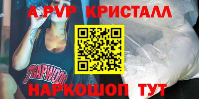 индика Камышлов
