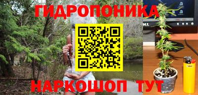 бошки Кинель