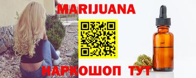 индика Камышлов