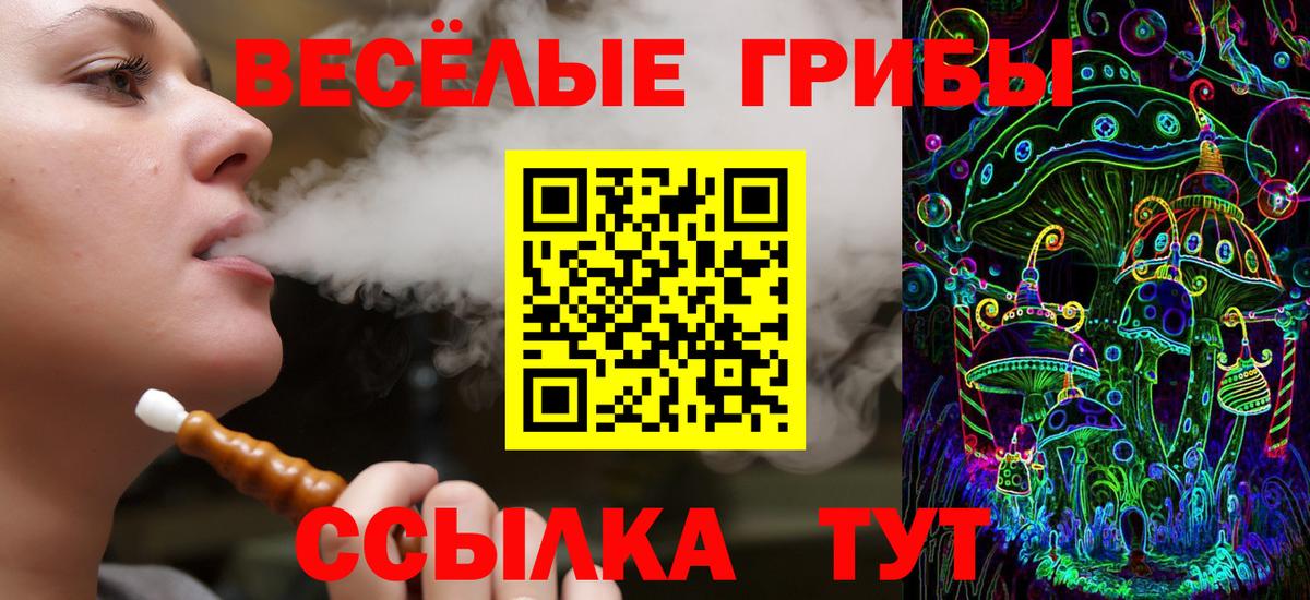 Галлюциногенные грибы прущие грибы  наркота  Кинель  Вход с VPN 