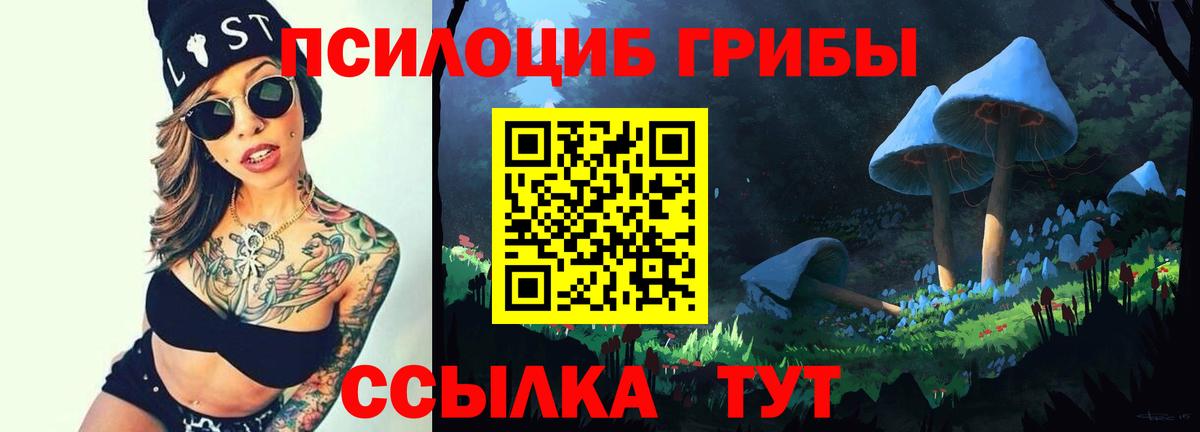 Галлюциногенные грибы Magic Shrooms Кинель